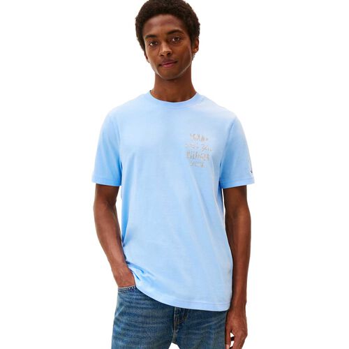 Tommy Hilfiger Summer Chest Graphic Tee